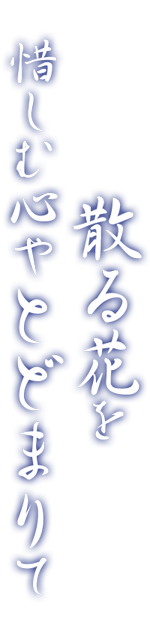 散る花を惜しむ心やとどまりて